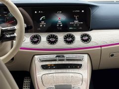 Mercedes-Benz E-Class (Imported) E 260 Coupe - ფოტო 15