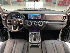 Tank 300 Off-Road Edition 2.0T Challenger - ფოტო 9