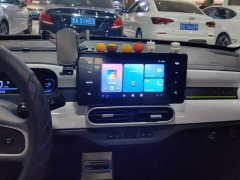 Geely Panda 2025 210km Panda Kart - ფოტო 13