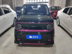Geely Panda 2025 210km Panda Kart - ფოტო 2
