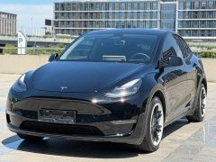 Tesla Model Y Long Range All-Wheel Drive - ფოტო 1