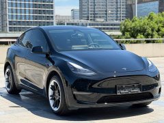 Tesla Model Y Long Range All-Wheel Drive - ფოტო 3
