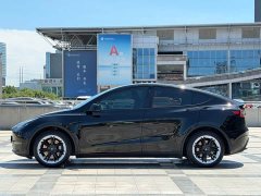 Tesla Model Y Long Range All-Wheel Drive - ფოტო 7