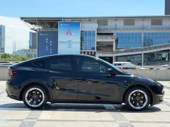 Tesla Model Y Long Range All-Wheel Drive - ფოტო 8
