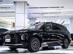 NIO ES8 Six-Seat Executive Luxury Edition - ფოტო 13