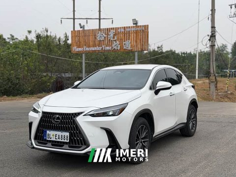2023 Lexus NX 2022 260 FWD Creative Edition - ავტომობილი ჩინეთიდან