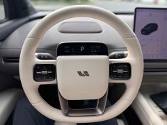 Li Auto i6 Two-Wheel Drive Standard - ფოტო 17