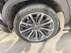 Jetour Jietu Dasheng 2022 1.6T DCT King SPORT - ფოტო 6