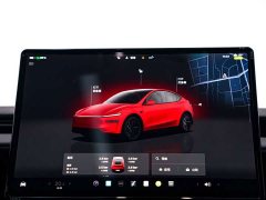 Tesla Model Y Rear-Wheel Drive - ფოტო 14
