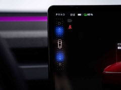 Tesla Model Y Rear-Wheel Drive - ფოტო 15