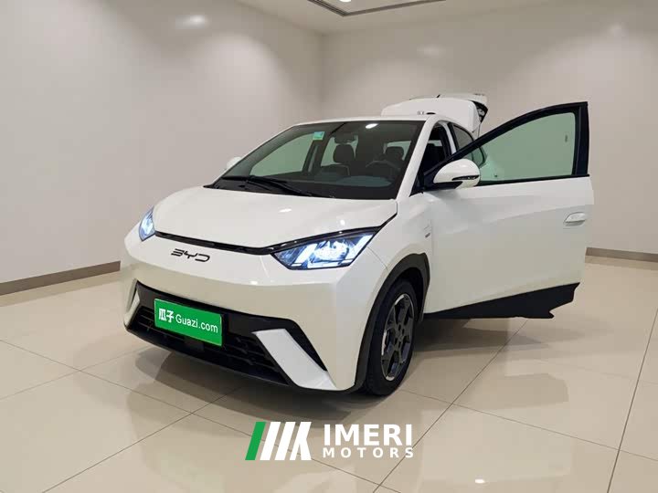 BYD Seagull 2025 305km Freedom Edition - ავტომობილი ჩინეთიდან