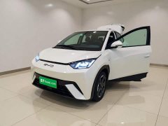 BYD Seagull 2025 305km Freedom Edition - ფოტო 1