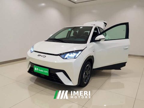 2024 BYD Seagull 2025 305km Freedom Edition - ავტომობილი ჩინეთიდან