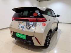BYD Seagull 2025 305km Freedom Edition - ფოტო 4