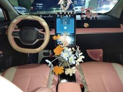 Neta V Tide 400 Lite Pink Custom Edition - ფოტო 10