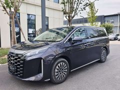 Toyota Xia DM-i 1.5T 180km Excellence - ფოტო 1