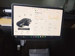 Tesla Model Y Standard Range RWD - ფოტო 12