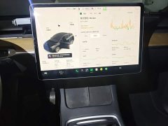 Tesla Model Y Standard Range RWD - ფოტო 14