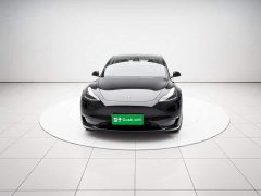 Tesla Model Y Rear-Wheel Drive - ფოტო 2