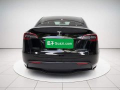 Tesla Model Y Rear-Wheel Drive - ფოტო 5