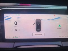 Leapmotor Leapo C11 Pure Electric 500 Comfort Edition - ფოტო 14