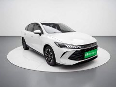 BYD Qin PLUS DM-i Smart Drive Edition 55KM Leading - ფოტო 3