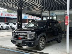 Great Wall Dachshund 2024 1.5T DCT Border Collie Edition - ფოტო 1