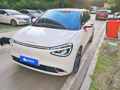 Dongfeng Nano 01 430 Plus Smart - ფოტო 1