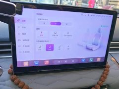 Dongfeng Nano 01 430 Plus Smart - ფოტო 13
