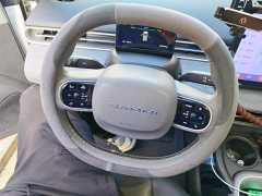 Dongfeng Nano 01 430 Plus Smart - ფოტო 15