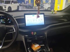 BYD Qin PLUS Glory Edition DM-i 55KM Leading - ფოტო 13