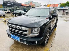 Great Wall Dachshund 1.5T DCT Border Collie Edition - ფოტო 1