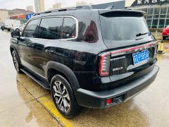 Great Wall Dachshund 1.5T DCT Border Collie Edition - ფოტო 13