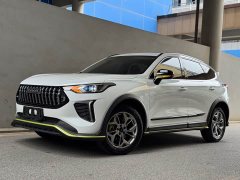 Haval Chitu Jinxiang Edition 1.5T Bronze Rabbit - ფოტო 1