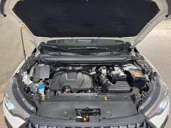 Haval Chitu Jinxiang Edition 1.5T Bronze Rabbit - ფოტო 18