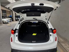 Haval Chitu Jinxiang Edition 1.5T Bronze Rabbit - ფოტო 19
