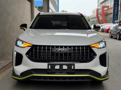 Haval Chitu Jinxiang Edition 1.5T Bronze Rabbit - ფოტო 2
