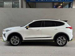 Haval Chitu Jinxiang Edition 1.5T Bronze Rabbit - ფოტო 3