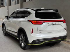 Haval Chitu Jinxiang Edition 1.5T Bronze Rabbit - ფოტო 4