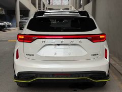 Haval Chitu Jinxiang Edition 1.5T Bronze Rabbit - ფოტო 5