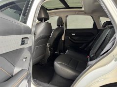 Haval Chitu Jinxiang Edition 1.5T Bronze Rabbit - ფოტო 7