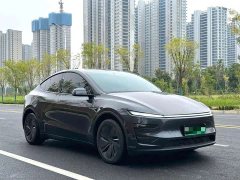 Tesla Model Y Long Range All-Wheel Drive - ფოტო 3