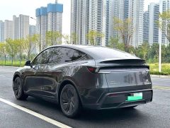 Tesla Model Y Long Range All-Wheel Drive - ფოტო 7