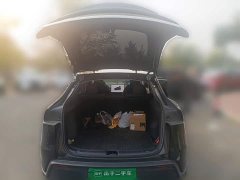 Tesla Model Y Rear-Wheel Drive - ფოტო 20