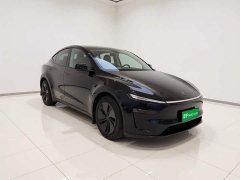 Tesla Model Y Rear-Wheel Drive - ფოტო 3