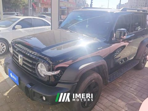 2024 Tank 300 2.0T Challenger - ავტომობილი ჩინეთიდან