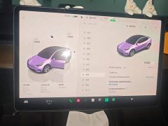 Tesla Model Y Rear-Wheel Drive - ფოტო 14