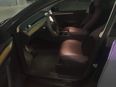 Tesla Model Y Rear-Wheel Drive - ფოტო 9