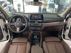 BMW X1 sDrive20Li Premium - ფოტო 8