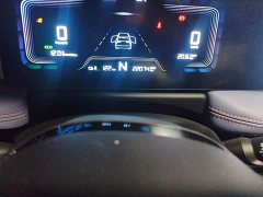 Geely Geometry E Firefly 320KM Cute Tiger 4-Seater - ფოტო 13